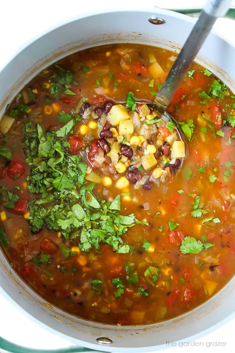 Black Bean Potato Soup, Soup With Black Beans, Southwest Soup, Garden Grazer, Black Bean Stew, Chipotle In Adobo Sauce, Vegan Ground Beef, Black Bean Soup Recipe, Dried Black Beans