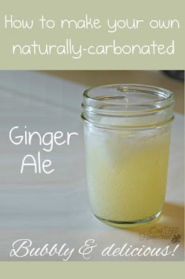 Ginger Ale Recipe, Homemade Ginger Ale, Ginger Bug, Natural Ginger, Homemade Soda, Fermentation Recipes, Soda Recipe, Fermented Drink, Ginger Recipes