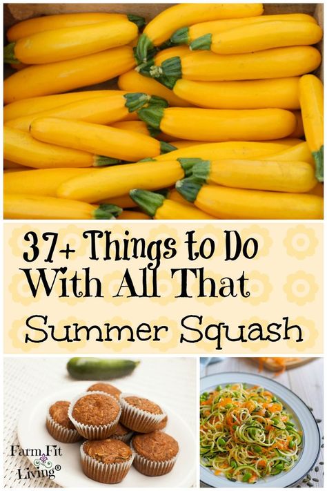 Canning Yellow Squash, Easy Squash Recipes, Was Sind Curtain Bangs, Sind Curtain Bangs, Canned Squash, Zucchini Desserts, Zucchini Cheddar, Squash And Zucchini, Homestead Gardening