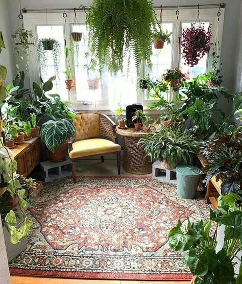 Indoor Sunroom Ideas, Indoor Sunrooms, Garden Ideas Indoor, Indoor Sunroom, Small Sunroom, Green Bedroom Design, Sunroom Decorating, Sage Green Bedroom, Garden Indoor