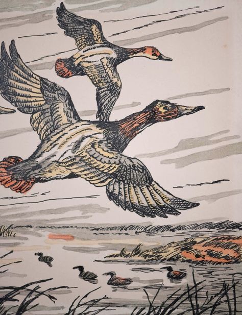 "We accept offers on all works of fine art and can provide international shipping, please send us a direct message to inquire. Up for sale is a beautiful vintage original pen and ink drawing depicting three ducks flying over a pond with cattails below. This work of art is executed in black ink with the minimal coloring of orange, grey and yellow and drawn on artist cardboard. This appears to be illustration art and could have been used in a hunting, fishing or wildlife publication. Measuring app Duck Hunting Art, Runner Duck Drawing, Yellow Duck Drawing, Pond Drawing, Three Ducks, Ducks Flying, Camp Essentials, Duck Stamp, Cat Tails