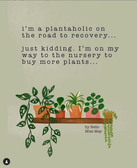 #plantquotes #plantaholic #justkidding Plant Jokes, Plant Quotes, Environment Quotes, Garden Center Displays, Plant Goals, Gardening Humor, Plants Quotes, Plant Journal, Plant Parent