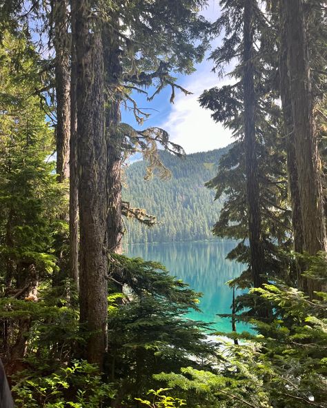 hiking mt. rainier 🏔️ - 04.08.24 Christine Falls Mt Rainier, Mt Rainier National Park, Mt Rainier, Rainier National Park, Washington State, The Mountain, National Park, Oregon, Natural Beauty