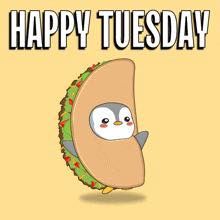 Good Morting! Have a happy taco Tuesday. Taco Tuesday Meme, Happy Taco Tuesday, Tuesday Meme, Happy Taco, Tuesday Humor, Taco Tuesday, Happy Tuesday, Pug, Tacos