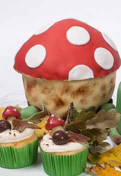 A really big cupcake! #funnycupcakes #bigcupcakes www.gekopzoet.nl Mushroom Birthday Cake, Ben And Holly Cake, Toadstool Cake, Mushroom Birthday, Colourful Cake, Whale Cakes, Funny Cupcakes, Secret Garden Theme, Mushroom Cake