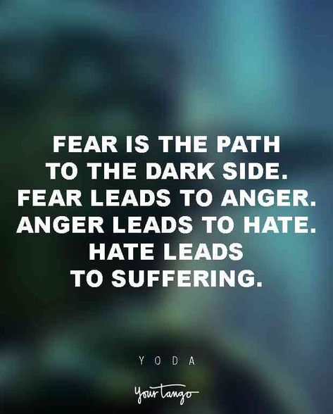 19 Yoda Quotes To Help You Survive These Dark Times Fear Is The Path To The Dark Side, Best Star Wars Quotes, Master Yoda Quotes, Nerdy Quote, Fear Leads To Anger, Star Wars Classroom, Yoda Quotes, Anger Quotes, Star Wars Quotes