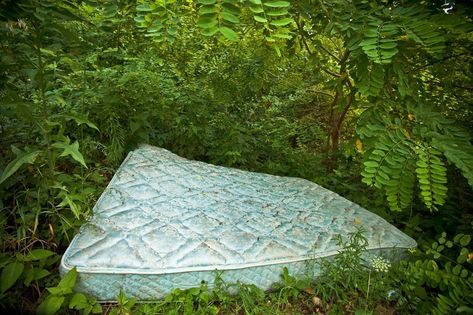 How To Get Rid of Your Old Mattress | The Sleep Sherpa Mattress Aesthetic, Demigod Diaries, Trash Pickup, Rid Of Bed Bugs, Green Abandoned Aesthetic, Bed Photos, Pick Up Trash, Mattresses Reviews, Mattress Cleaning