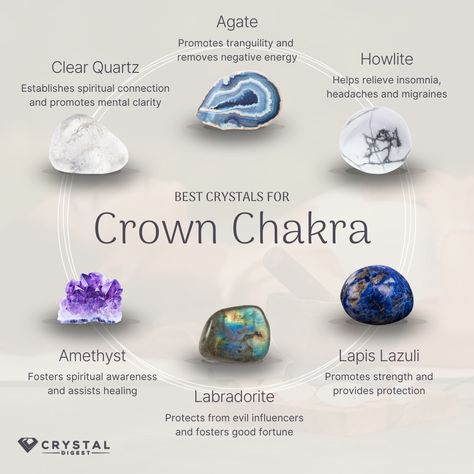 Discover the most effective stones for activating and balancing your crown chakra, the gateway to higher consciousness and spiritual enlightenment. The Crown Chakra, Chakra Chart, Best Healing Crystals, Crystal Healing Chart, Chakra Health, Best Crystals, Chakra Healing Crystals, Spiritual Crystals, Herbal Magic