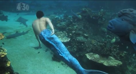 Mako Mermaids - BTS filming on Season 2 Real Mermaid Videos, H2o Mermaid Tails, Mermaid Sightings, Mermaid Gifs, Mermaid Photography, Silicone Mermaid Tails, H2o Mermaids, Pretty Mermaids, Mermaid Photos