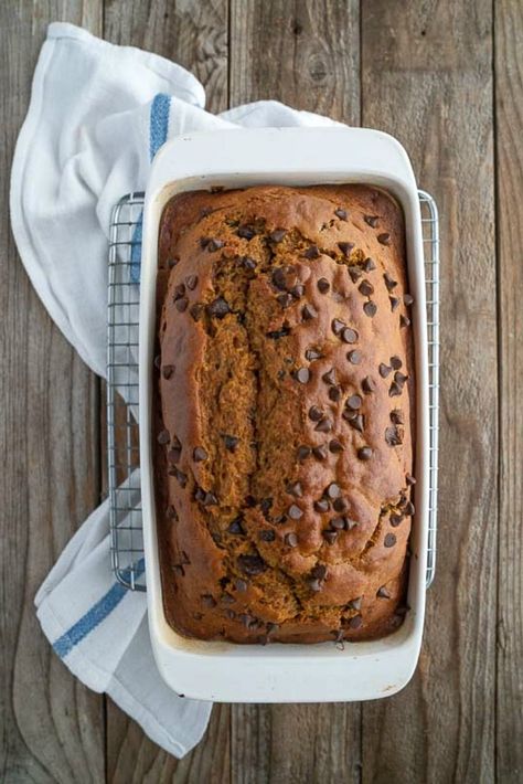 Wyoming Recipes, High Altitude Baking, Frozen Pumpkin, Pumpkin Muffin Recipes, Chocolate Chip Bread, Pumpkin Chocolate Chip Bread, Mountain Mama, Paleo Baking, Pumpkin Chocolate Chip