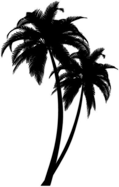 Tree Tattoo Back, Willow Tree Tattoos, Small Palm Trees, Tattoo Tree, Family Tree Tattoo, Pine Tree Tattoo, Palm Tattoos, Coconut Palm Tree, Tree Tattoo Designs