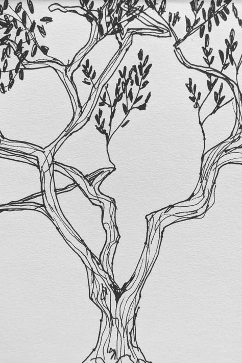 Line Art Tree Drawing, Draw An Olive Tree, Olive Tree Sketch Art, Olive Tree Line Art, Olive Tree Illustration Drawings, Fruit Tree Sketch, Tree Line Illustration, Abstract Tree Drawing, Olive Tree Design