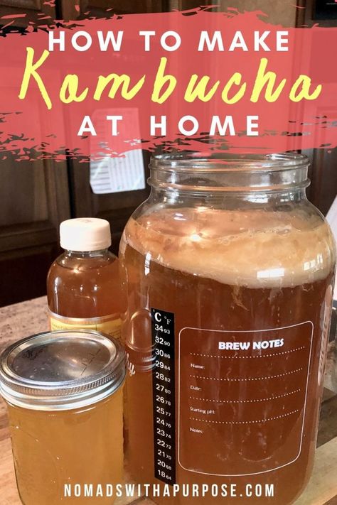 Make Your Own Kombucha, Diy Kombucha, Kombucha Drink, Make Kombucha, Kombucha Benefits, How To Brew Kombucha, Homemade Kombucha, Kombucha Recipe, Healty Dinner