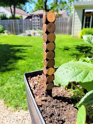 Penny Ball, Garden Raised Beds, Running Mom, Food Recipes Easy, Community Garden, Garden Accents, Community Gardening, Little Garden, Raised Beds