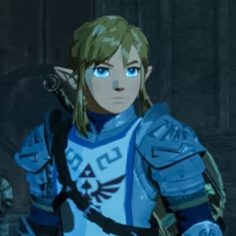 Link Age Of Calamity, Age Of Calamity Link, Botw Link Icon, Hyrule Warriors Link, Loz Link, Hyrule Warriors Age Of Calamity, Haircut Reference, Link Icon, Age Of Calamity