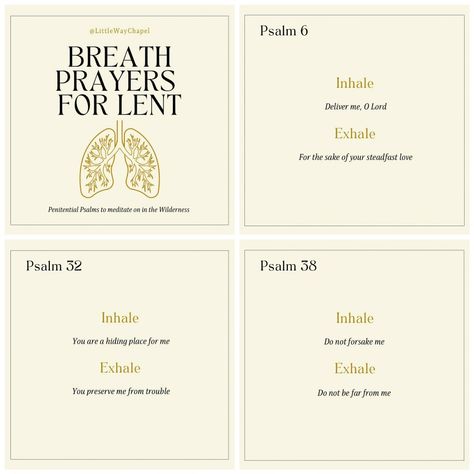 Breath Prayers, Biblical Wife, Psalm 38, Psalm 6, Creator God, Mission Trips, Christian Meditation, Christian Woman, Missions Trip