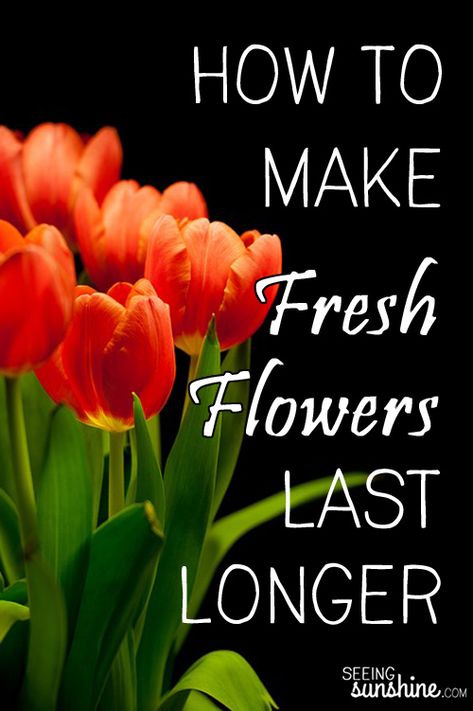 Tips on making your flower bouquets last longer and stay fresh and beautiful! Flowers Last Longer, Different Kinds Of Flowers, Household Help, Fun Bridal Shower Games, Bible Passages, Old Love, Inspirational Quotes About Love, 30 Day Challenge, Happy Marriage