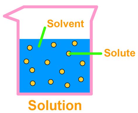 Introduction to solution chemistry and solubility | StudyPug Solubility Chemistry, Solutions Chemistry, Solution Chemistry, Third Grade Science Worksheets, Chemistry Help, Science Printables, Dimensional Analysis, Organization Notes, Third Grade Science