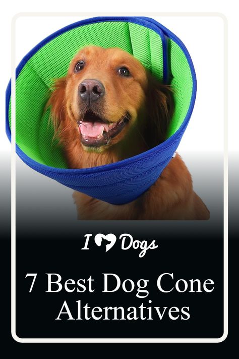 7 Best Dog Cone Alternatives Diy Dog Lick Sleeve Back Leg, Cones For Dogs Homemade, Homemade Dog Cone, Diy Dog Cone Alternatives, How To Make A Dog Cone Comfortable, Diy Dog Cone, Alternatives To Cones For Dogs, Cone Alternative For Dogs Diy, What To Use Instead Of A Cone For A Dog