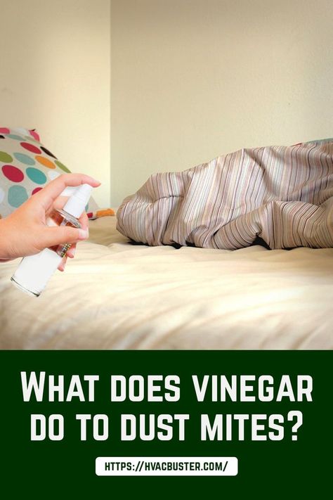 Can white vinegar kill dust mites Kill Dust Mites, Mopping Floors, Best Cleaner, White Vinegar, Dust Mites, Hepa Filter, Safety Tips, Vinegar, Vacuum Cleaner