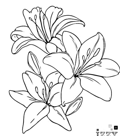 Lily Line Art, Flower Tattoo Stencils, Lilies Drawing, Lily Flower Tattoos, Arm Sleeve Tattoos For Women, Printable Flower Coloring Pages, Flower Tattoo Drawings, Lilly Flower, Fabric Painting Techniques