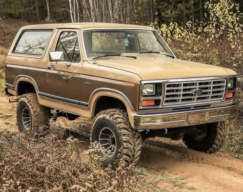 Ford Van 4x4, Overlander Truck, 90s Ford Bronco, 1982 Ford Bronco, 1990 Ford Bronco, Ford Bronco 1970's, Ford Highboy, Old Ford Bronco, Brush Truck