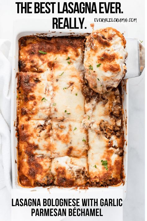 Lasagna Bolognese that's saucy and meaty with a life changing garlic parmesan béchamel . Freezer instructions included!   #easydinner #lasagnarecipe #lasagna #italianrecipes #pastarecipe #pasta Easy Bolognese, Meaty Lasagna, Bechamel Sauce Recipe, Lasagna Bolognese, Italian Lasagna, Frozen Lasagna, Delicious Spaghetti, Crumb Recipe, Yummy Pasta