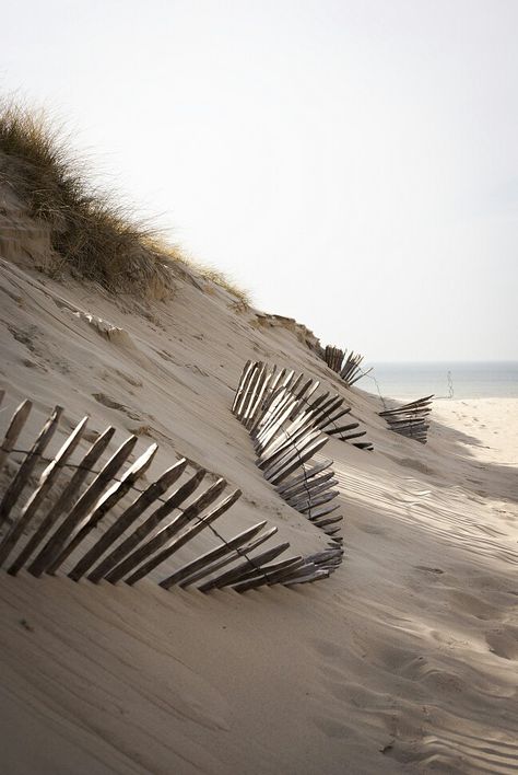 Dune de sable Pelican Bay, Beach Grass, Seaside Living, Coastal Life, Sand Dunes, Beach Cottages, Beach Sand, Ocean View, Beach Life