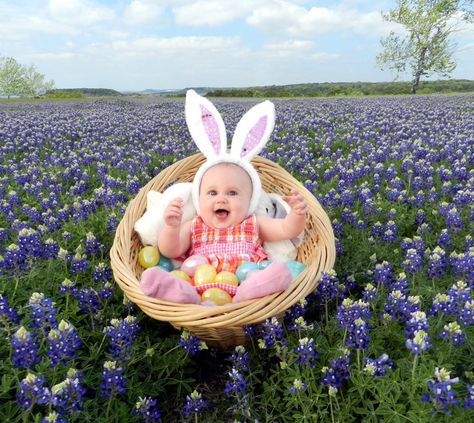 Easter picture in Texas bluebonnets :) Aurora Photoshoot, Blue Bonnet Photoshoot, Baby Girl Photoshooting Ideas Easter, Bluebonnet Photoshoot, Bluebonnet Toddler Pictures, Bluebonnet Pictures, Baby Bluebonnet Pictures, Bluebonnet Photos, Dog Bluebonnet Pictures