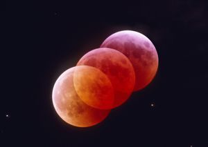 Three Moons, Moon Dance, Solar Eclipses, Phases Of The Moon, Good Night Moon, Lunar Eclipse, Blood Moon, Beautiful Moon, Over The Moon