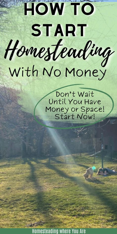 If you have a homesteading dream, don't wait until you have the space or money to begin. No matter where you are, you can start homesteading right now, even if you have no money. Here are some ideas on how to start homesteading with no money. Food Preservation And Storage, Food Storage Hacks, Start A Homestead, Diy Canning, Homestead Layout, Living A Simple Life, Starting A Farm, Water Collection System, Homesteading For Beginners