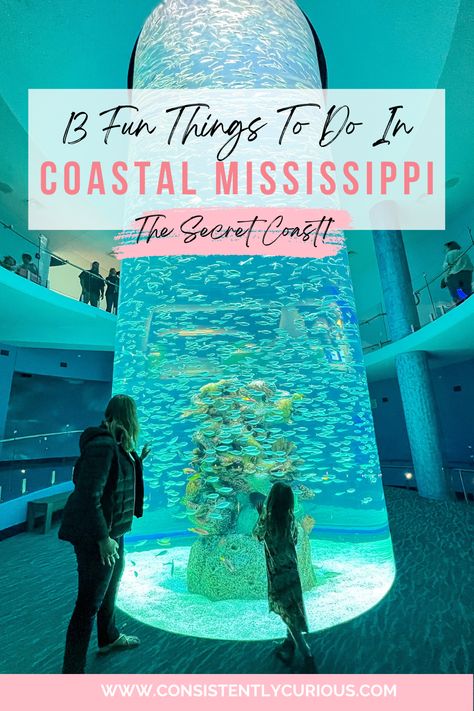 Fun Things To Do In Mississippi, Gulfport Mississippi Things To Do In, Mississippi Things To Do, Biloxi Mississippi Things To Do, Gulf Port Mississippi, Mississippi Beaches, Waveland Mississippi, Things To Do In Mississippi, Long Beach Mississippi