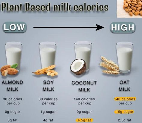 he caloric content of plant-based milk can vary depending on the specific type and brand. Generally, plant-based milk alternatives such as almond milk, soy milk, or oat milk have fewer calories compared to cow's milk. On average, a cup (240 ml) of unsweetened almond milk contains around 30-40 calories, while the same amount of unsweetened soy milk has approximately 80-100 calories. Hit the pin! More recipes at the link!  #breakfast #recipes #chili #cake #pasta #bread #sandwich Oat Milk Vs Almond Milk, Low Cal Chocolate, Lemon Curd Cake, Cow's Milk, Pasta Bread, Recipes Chili, Bread Sandwich, Lemon Buttercream, Healthy Food Menu