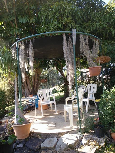 Trampoline Conversion, Trampoline Makeover Ideas, Trampoline Frame Ideas, Trampoline Pergola, Trampoline Repurpose Ideas, Trampoline Frame Repurpose, Trampoline Makeover, Old Trampoline Ideas, Trampoline Upcycle Ideas