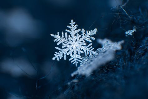 These intricate, one-of-a-kind ice crystals form when precipitation falls through varying levels of humidity and temperatures in the air. Snowflake Aesthetic, In The Dark, Dark Blue, I Hope, Blue