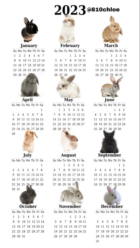 Bunny Calendar 2023, Bunny Calendar, Lockscreen Themes, Book Cover Art Diy, Space Icons, Desktop Photos, Study Schedule, Phone Organization, Aesthetic Desktop Wallpaper