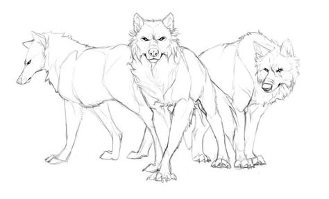 Drawing Wolf, Wolf Base, Wolf Poses, Anime Wolf Drawing, Wolf Sketch, Wolf Artwork, Werewolf Art, Wolf Drawing, Canine Art