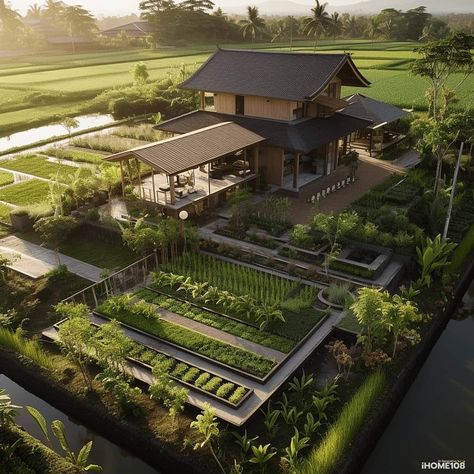 Home Vegetable Garden Design, Rice Fields, Model House Plan, Village House Design, Vegetable Garden Design, Eco House, Village Houses, House Architecture Design, Dream House Exterior