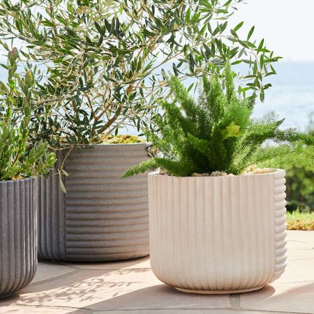 Cecilia Fibrestone Planters | west elm Canada Planters By The Pool, White Pots For Plants Outdoor, Driveway Plants, Outdoor Vase, Pool Plants, Large Ceramic Planters, Montana House, Yard Plants, Large Outdoor Planters