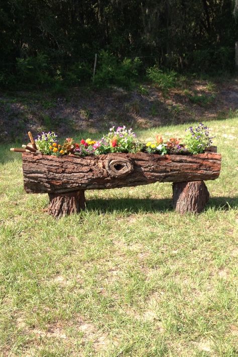 Our log plantar Log Flower Pot, Ideas For Logs, Wood Log Ideas Diy Projects Tree Trunks, Logs Ideas Garden, Log Planter Ideas, Log Art, Log Decor, Log Projects, Log Planter