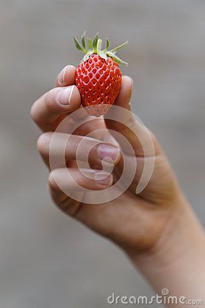 Holding Strawberry Reference, Strawberry Reference, Holding Strawberry, Hand Photo, Recipe Images, Hand Holding, Human Anatomy, Holding Hands, Floral Rings