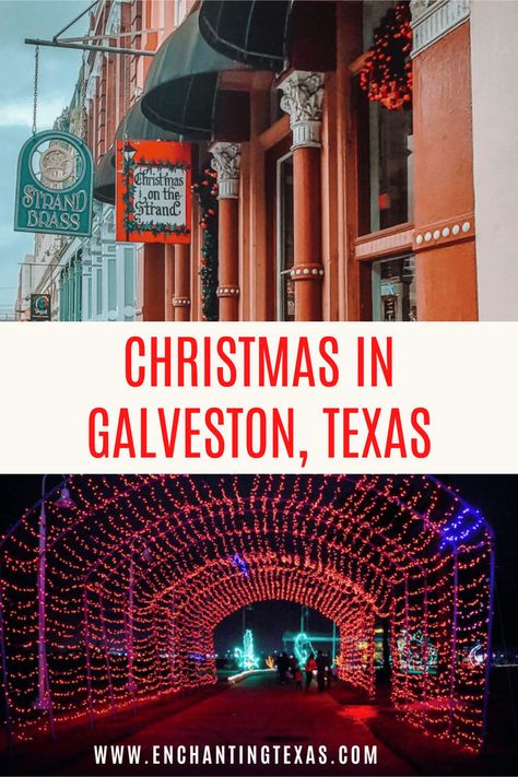 Christmas In Galveston, Moody Gardens Galveston, What To Do For Christmas, Christmas In Texas, Things To Do For Christmas, Moody Gardens, Christmas Things To Do, Guadalupe Mountains National Park, Travel Texas