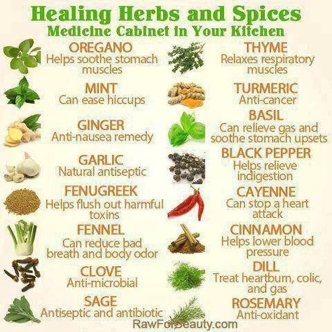 WebMD lists Our forefathers have long touted the miraculous health benefits of natural herbs and spices and their healing properties. Description from herbstomedical.blogspot.com. I searched for this on bing.com/images Benefits Of Herbs, Remedies For Nausea, Herbs For Health, Natural Therapy, Idee Pasto Sano, Healing Food, Healing Herbs, Natural Health Remedies, Herbs And Spices