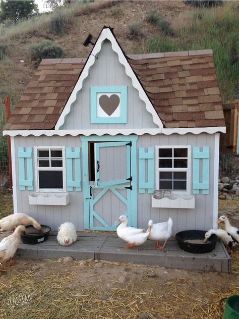 Do you want to build a duck house or coop for your new ducks? Here are 37 of the best free DIY duck house plans we've collected from all over the net. Duck House Ideas, Duck House Plans, Chickens And Ducks, Chicken Barn, Duck Coop, Coop Design, Duck House, Best Chicken Coop, Chicken Coop Designs