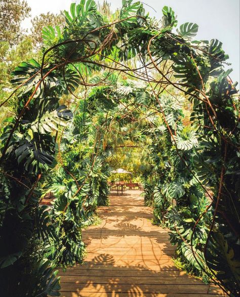 Jungle Entrance Decor, Jungle Wedding Theme, Tropical Disco, Rainforest Theme, Jungle Wedding, Event Entrance, Neon Jungle, Traditional Wedding Decor, Party Deco