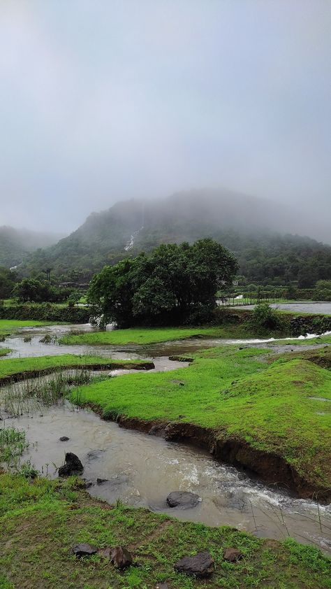 Malshej ghat Malshej Ghat, It's Raining, Beautiful Smile Women, Beautiful Smile, Wonderful Places, Instagram Story, Wonder, Collage, Photography