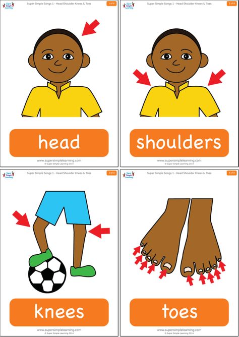 Head Shoulders Knees & Toes (Learn It) - Super Simple Songs Head Shoulders Knees And Toes, Body Parts For Kids, Super Simple Songs, Head Shoulders, Flashcards For Kids, Parts Of The Body, English Activities, Visual Learners, Head & Shoulders