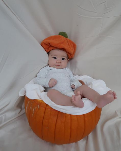 Picked the cutest pumpkin at the patch 🍁🎃✨ Cute Pumpkin, The Cutest