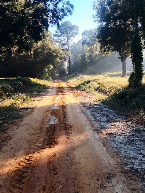 Dirt Roads | Cedar Creek Road, Grady County Ga. | Facebook Dirt Road Aesthetic, Country Road Aesthetic, Cobblestone Road, Dirt Road Anthem, Buy Dirt, Island Town, Dirt Roads, Country Aesthetic, Books Aesthetics