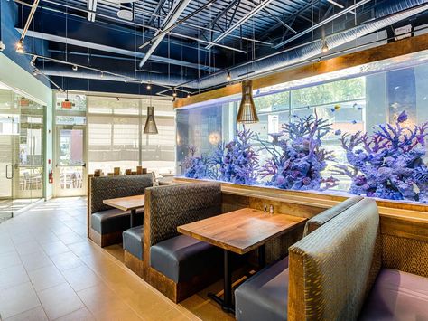 At ZeroEdge we know what it takes to provide high quality custom aquariums, water features, themed exhibits, residential and commercial aquariums worldwide. Big Fish Tanks, Custom Fish Tanks, Restaurant Fish, Aquarium Architecture, Aqua Decor, Custom Aquarium, Wall Aquarium, Restaurant Pictures, Interior Architecture Drawing